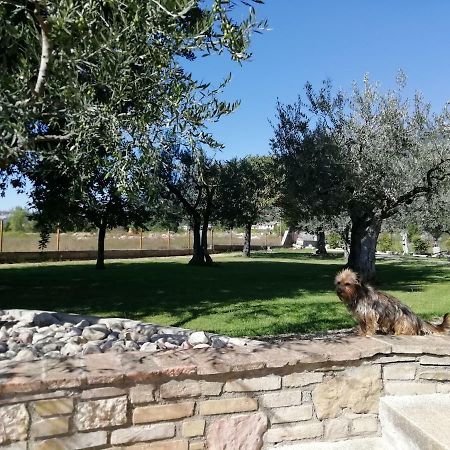 La Lanterna Di Lanfo Apartment Assisi Exterior photo
